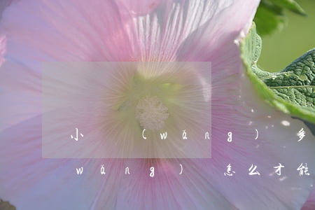小額網(wǎng)貸多久能通過審核(網(wǎng)貸怎么才能審核通過)