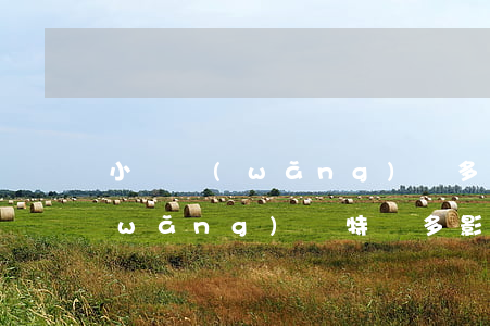 小額網(wǎng)貸多了影響征信嗎(網(wǎng)貸特別多影響征信嗎)