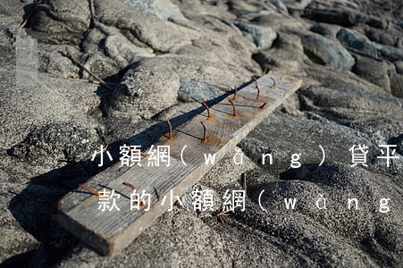 小額網(wǎng)貸平臺哪些好下款(好下款的小額網(wǎng)貸)