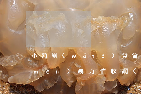 小額網(wǎng)貸會(huì)上門(mén)暴力催收(網(wǎng)絡(luò)小貸會(huì)上門(mén)催收嗎)