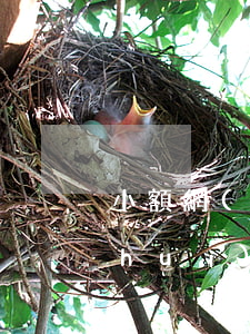 小額網(wǎng)貸會(huì)不會(huì)上門催收(網(wǎng)貸不還會(huì)有人上門催收嗎)
