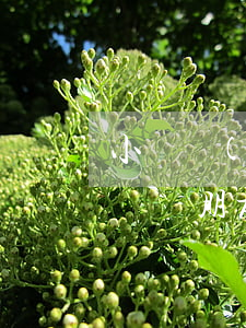 小額網(wǎng)貸朋友圈怎么引流(列舉幾種朋友圈引流的方法)