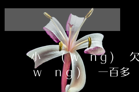 小額網(wǎng)貸欠100多家(欠網(wǎng)貸一百多萬)