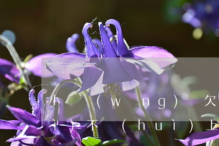 小額網(wǎng)貸欠2000會(huì)不會(huì)上門(網(wǎng)貸欠5000說(shuō)上門會(huì)不會(huì)上門)