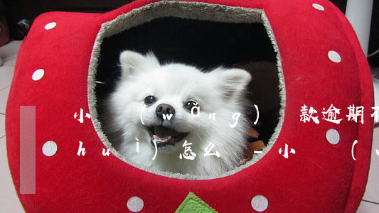 小額網(wǎng)貸款逾期不還后果會(huì)怎么樣-小額網(wǎng)貸款逾期不還后果會(huì)怎么樣嗎