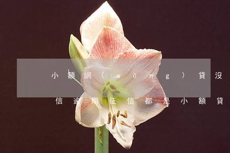 小額網(wǎng)貸沒(méi)有上征信逾期(征信都是小額貸但是沒(méi)有逾期會(huì)影響么)