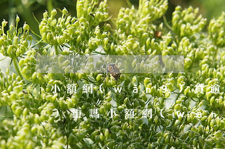 小額網(wǎng)貸逾期幾天嚴(yán)重嗎(小額網(wǎng)貸逾期幾天嚴(yán)重嗎)