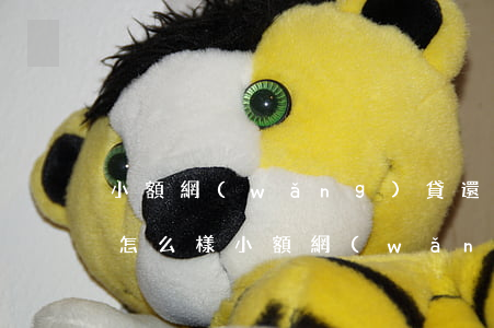 小額網(wǎng)貸還不上會(huì)怎么樣(小額網(wǎng)貸不還會(huì)有什么后果)