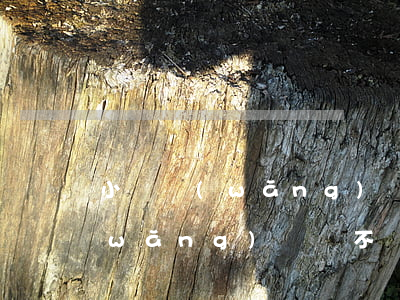 小額網(wǎng)貸還不起怎么處理(網(wǎng)貸還不過來了怎么辦)
