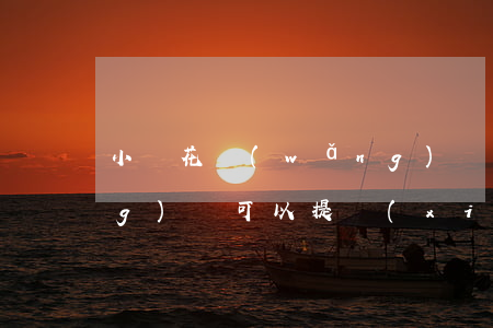 小額花網(wǎng)貸，小額花網(wǎng)貸可以提現(xiàn)微信嗎