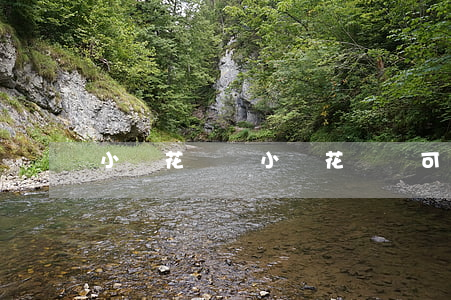 小額花網貸，小額花網貸可以提現微信嗎