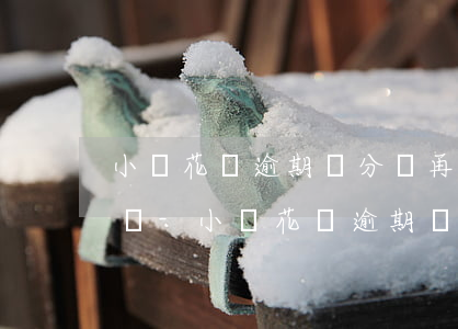 小額花錢逾期幾分鐘再還會(huì)怎么樣-小額花錢逾期幾分鐘再還會(huì)怎么樣嗎