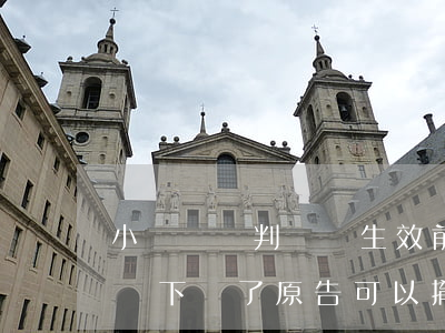 小額訴訟判決書生效前可以撤訴嗎(法院判決書下來了原告可以撤訴嗎)