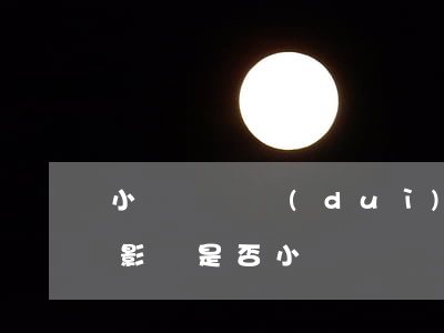 小額訴訟對(duì)個(gè)人有什么影響(是否小額訴訟)