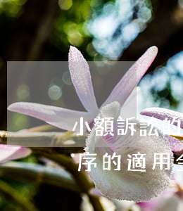 小額訴訟的訴訟費(fèi)用(小額訴訟程序的適用金額)