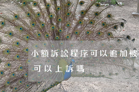 小額訴訟程序可以追加被告嗎(法院小額訴訟可以上訴嗎)