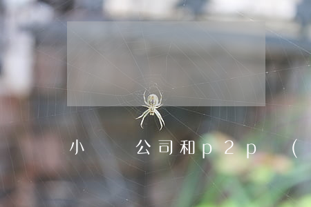 小額貸公司和p2p網(wǎng)貸