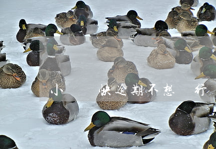 小額貸快逾期不想還行嗎