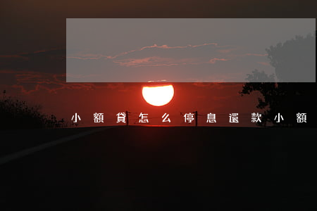 小額貸怎么停息還款(小額貸款怎么還利息)