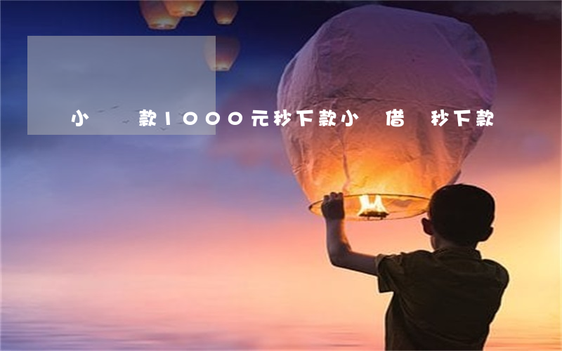 小額貸款1000元秒下款(小額借貸秒下款)