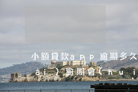 小額貸款app逾期多久起訴(貸款平臺(tái)逾期會(huì)立案嗎)