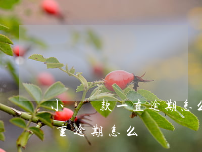 小額貸款一直逾期怎么辦(貸款嚴(yán)重逾期怎么辦)