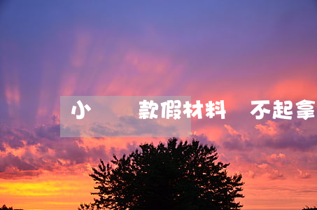 小額貸款假材料還不起(拿小額貸款不還怎么辦)