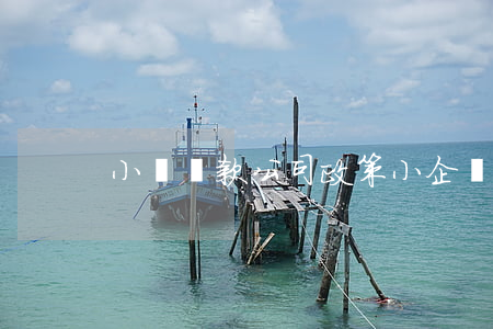 小額貸款公司政策(小企業(yè)貸款政策)