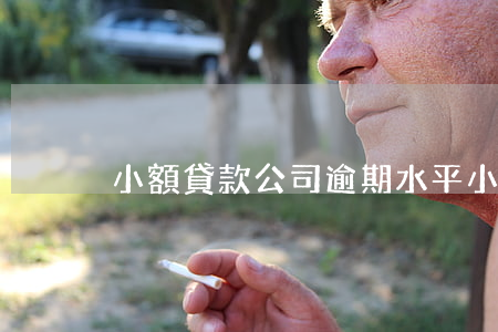 小額貸款公司逾期水平(小貸全部逾期了)