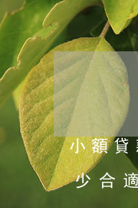 小額貸款公司逾期率(小額貸款公司逾期率多少合適)