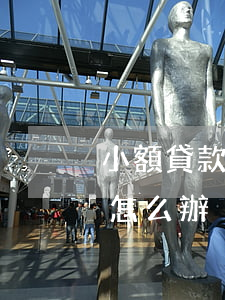 小額貸款公司還不起(小額貸款公司還不起款怎么辦)