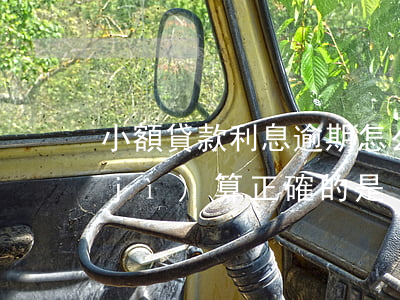 小額貸款利息逾期怎么算(逾期貸款利息計(jì)算正確的是)