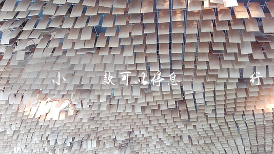 小額貸款可以停息掛賬嗎(銀行貸款可以停息掛賬嗎)