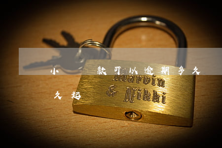 小額貸款可以逾期多久(銀行小額貸款逾期多久起訴)