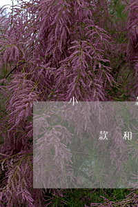 小額貸款和網(wǎng)貸如何止損(小額貸款和網(wǎng)貸如何止損)