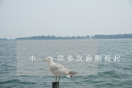 小額貸款多次逾期被起訴(銀行貸款逾期被起訴)