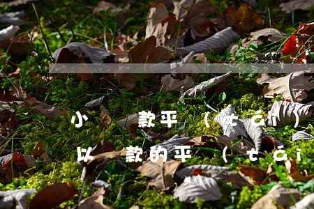 小額貸款平臺(tái)還款逾期(逾期還可以貸款的平臺(tái))