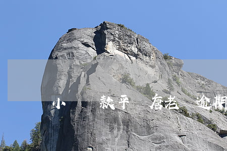 小額貸款平臺唐老鴨逾期
