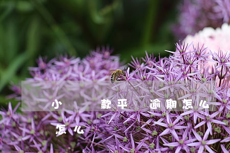 小額貸款平臺逾期怎么辦(小額貸款平臺逾期怎么辦)