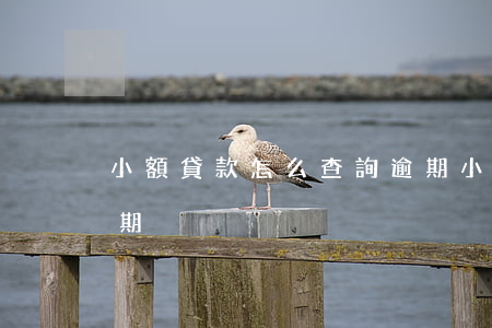 小額貸款怎么查詢逾期(小額貸款怎么查詢逾期)