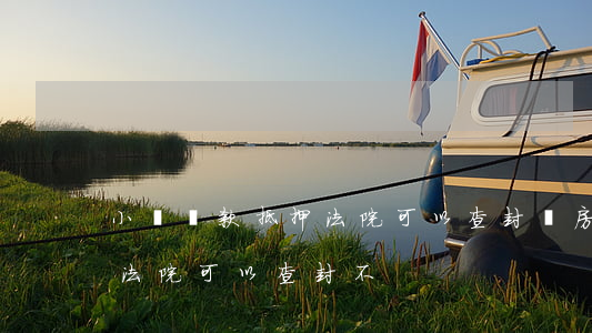 小額貸款抵押法院可以查封嗎(房產抵押期間法院可以查封不)