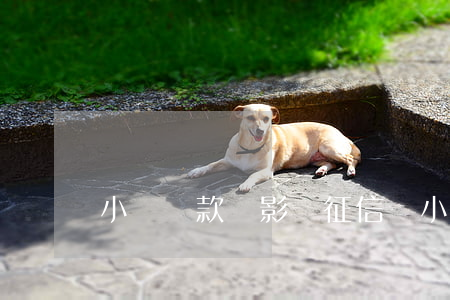小額貸款會影響征信嗎(小額貸款會影響征信嗎)