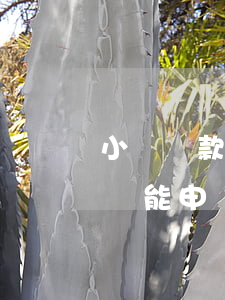 小額貸款比較多沒有逾期(貸款較多,沒有逾期,還能申請(qǐng)哪些貸款)
