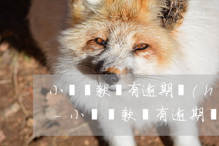 小額貸款沒有逾期會(huì)影響征信嗎-小額貸款沒有逾期會(huì)影響征信嗎知乎