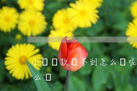 小額貸款貸不到怎么辦呢（小額貸款貸不到怎么辦）