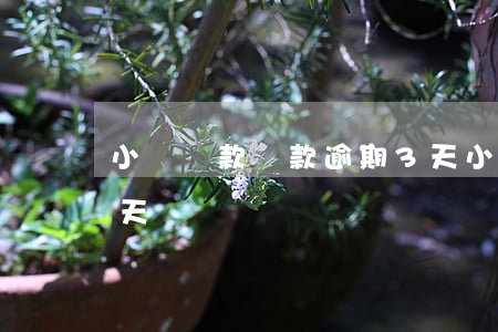 小額貸款貸款逾期3天(小額貸款貸款逾期3天)
