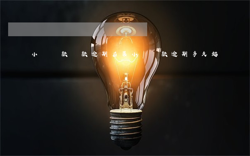 小額貸款貸款逾期后果(小額貸款逾期多久起訴)