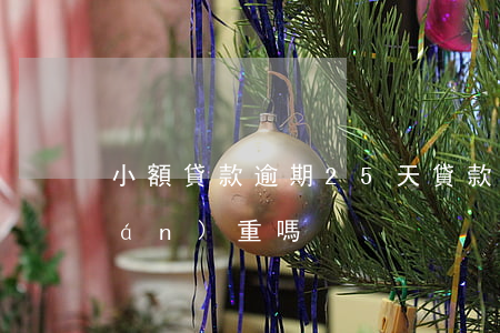 小額貸款逾期25天(貸款逾期20天嚴(yán)重嗎)