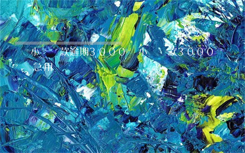 小額貸款逾期3000塊(小額貸款3000急用)