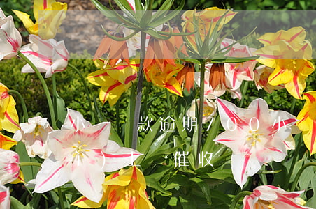 小額貸款逾期700 小額貸款逾期會(huì)上門催收嗎
